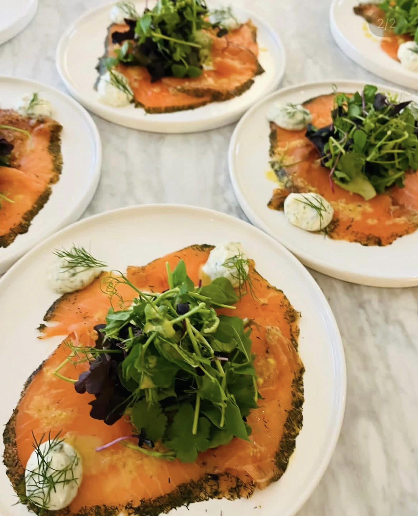 Cured salmon with fresh greens and horseradish cream